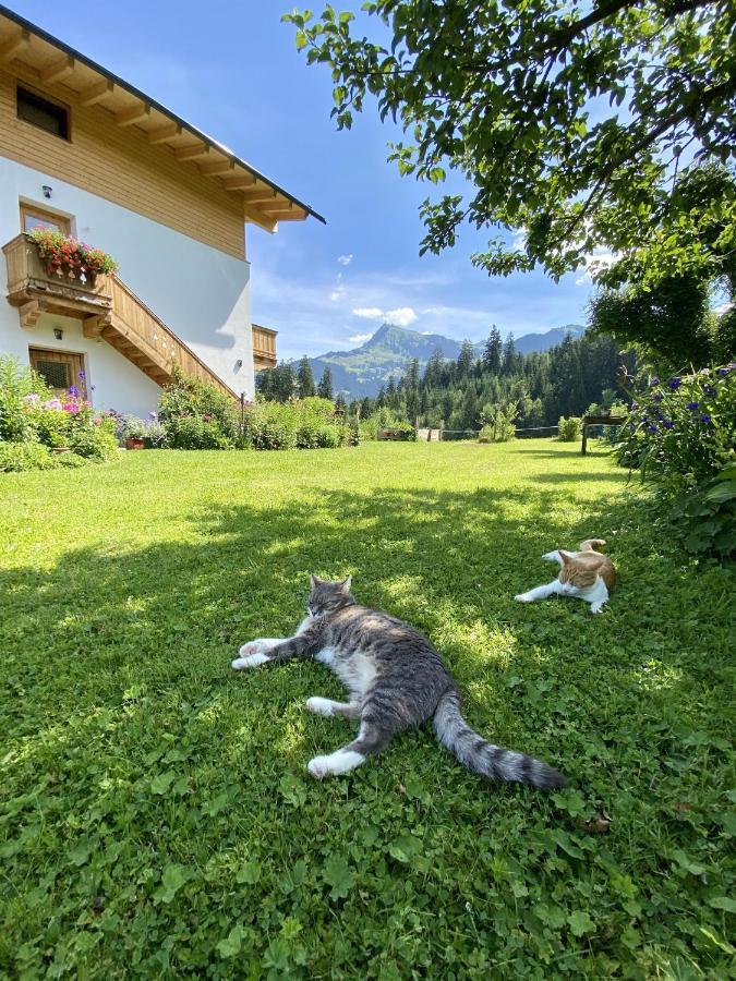 Landhaus Barbara Kitzbühel Eksteriør billede
